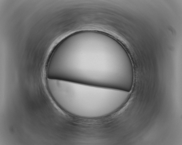 X0000113591517200909181038