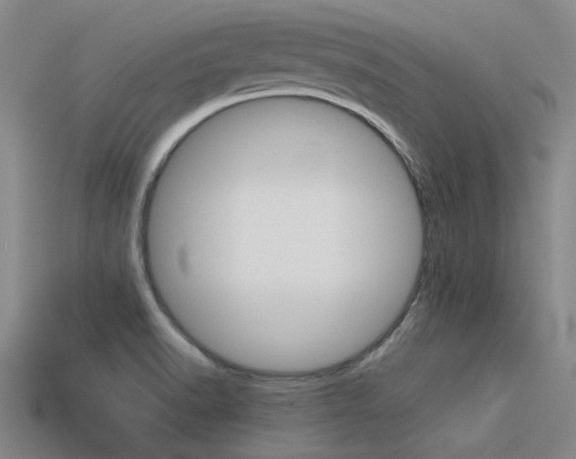 X0000113591518200909181038