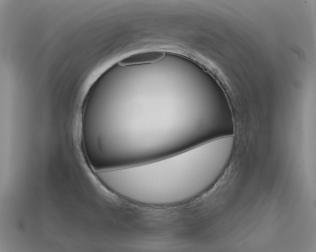 X0000113591520200909181038