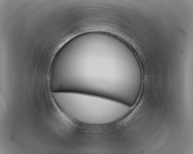 X0000113591521200909181038