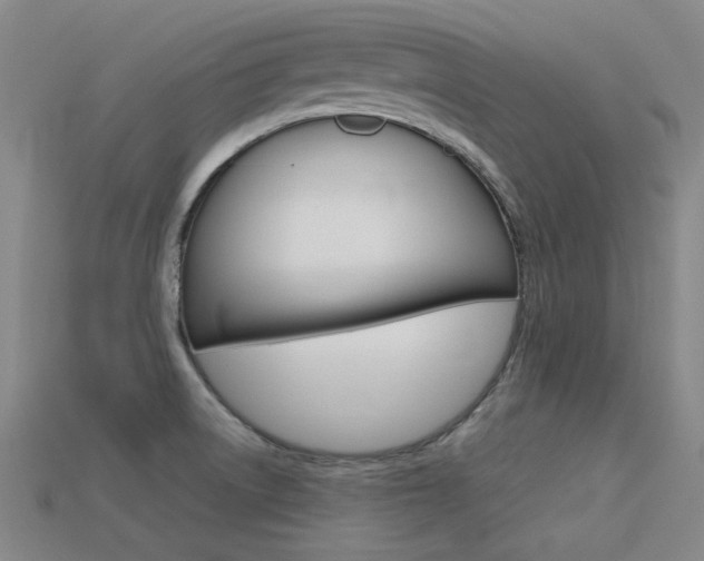 X0000113591522200909181038