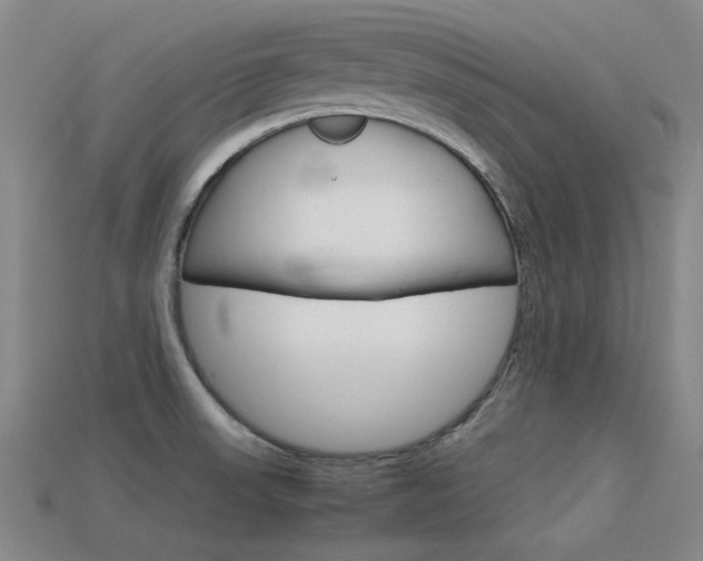 X0000113591523200909181038