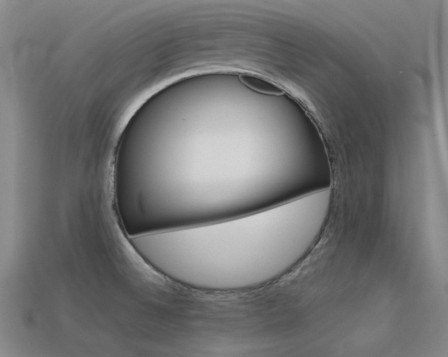 X0000113591524200909181038