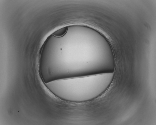 X0000113591526200909181038