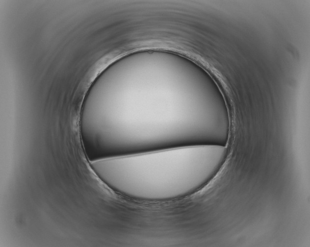 X0000113591529200909181038