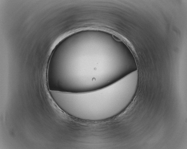 X0000113591530200909181038