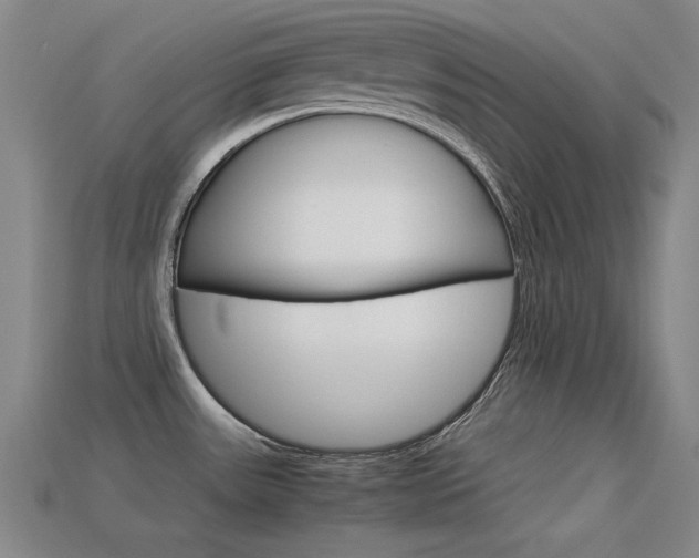 X0000113591531200909181038