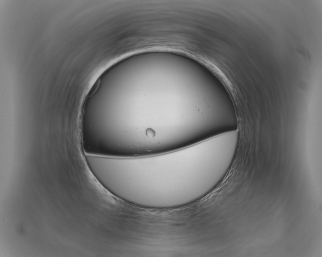 X0000113591532200909181038