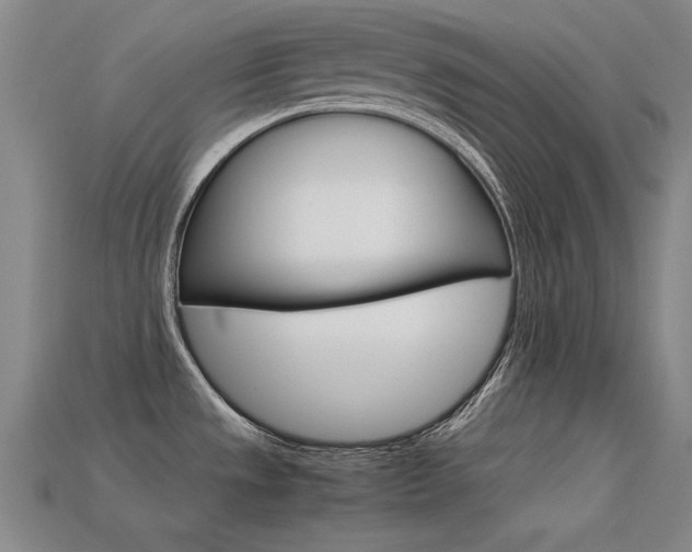 X0000113591533200909181038
