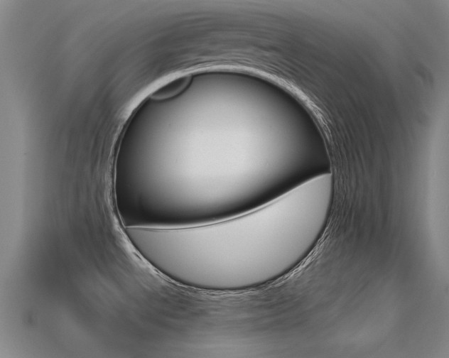 X0000113591534200909181038