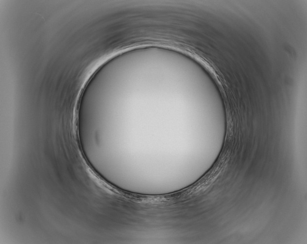 X0000113591535200909181038
