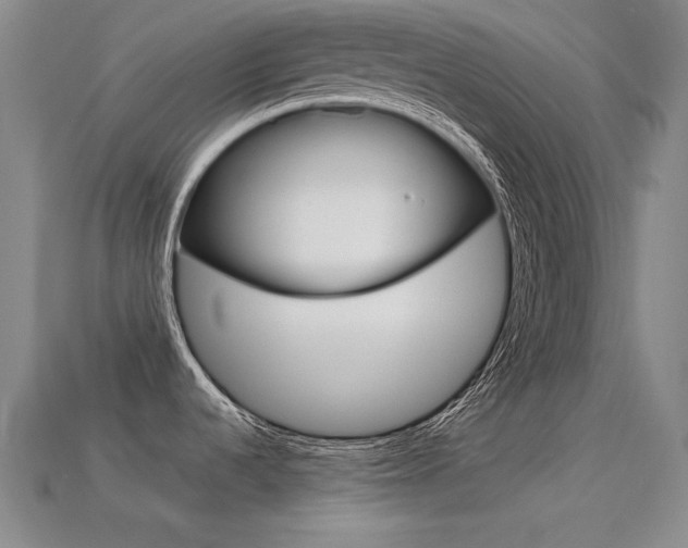 X0000113591536200909181038