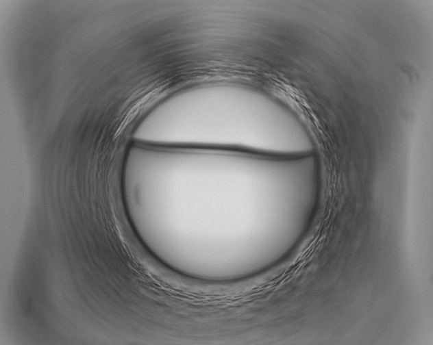 X0000113590001200909181341