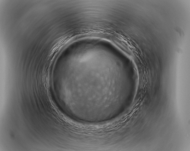 X0000113590002200909181341