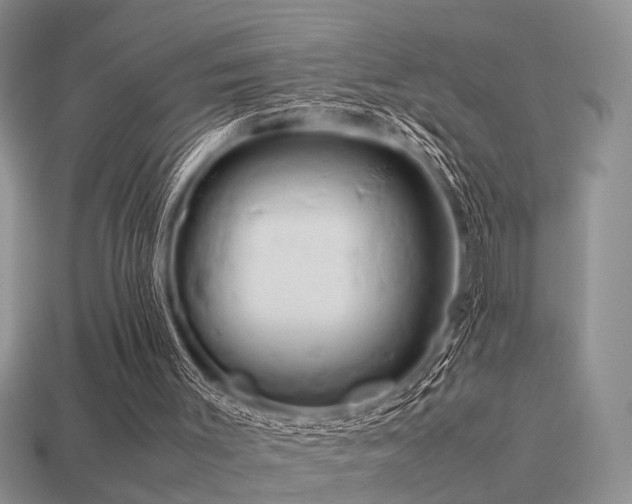 X0000113590003200909181341