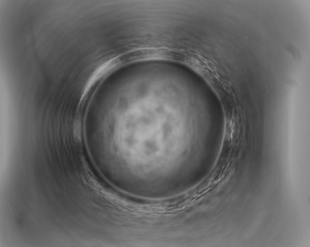 X0000113590004200909181341