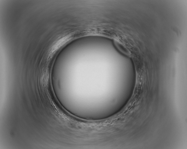 X0000113590005200909181341