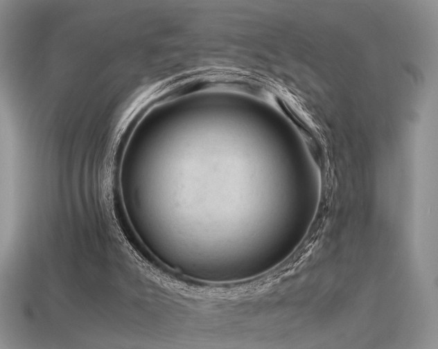 X0000113590007200909181341