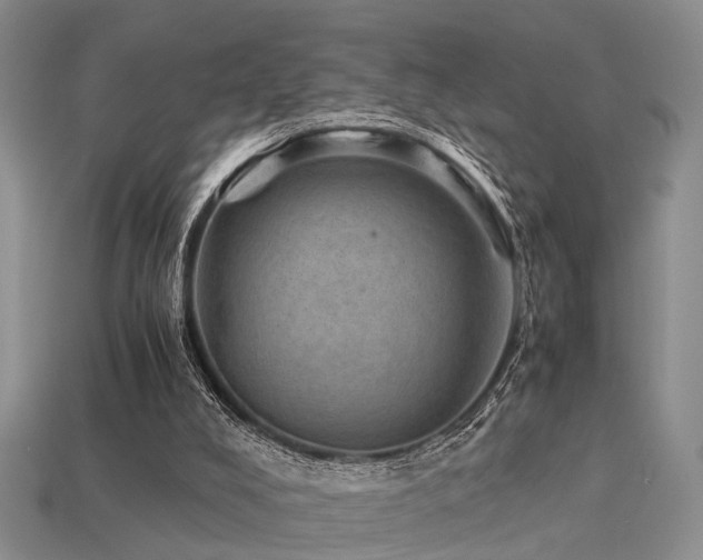 X0000113590008200909181341