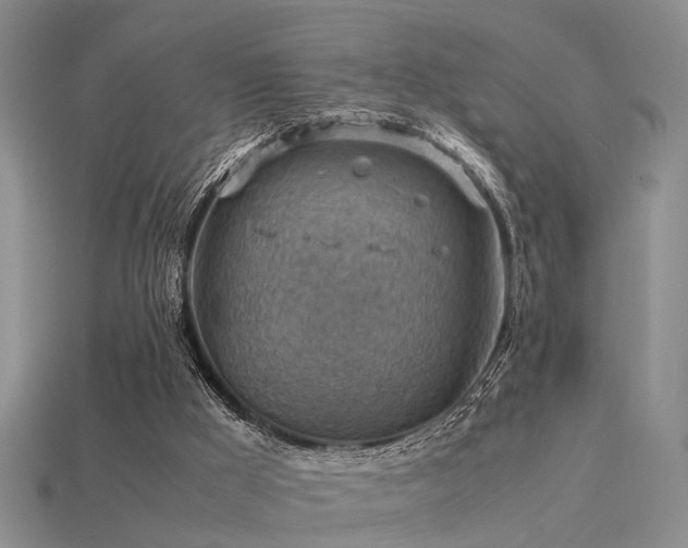 X0000113590009200909181341