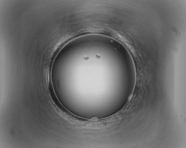 X0000113590011200909181341