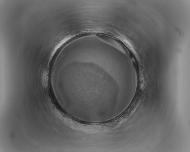 X0000113590012200909181341