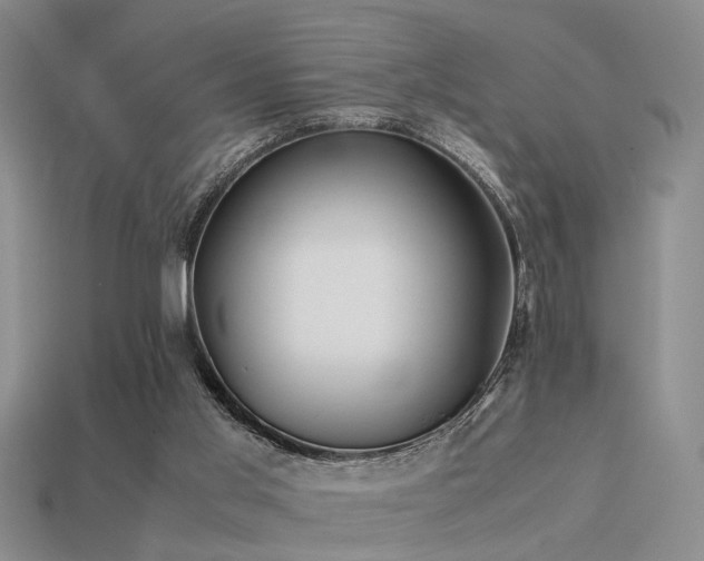 X0000113590013200909181341