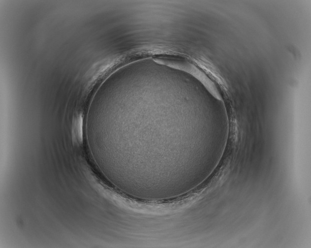 X0000113590014200909181341