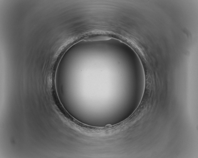 X0000113590015200909181341