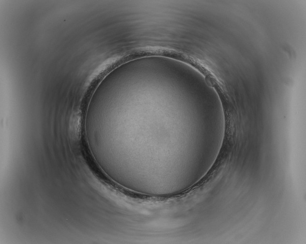 X0000113590016200909181341