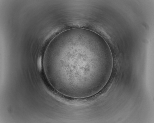 X0000113590020200909181341