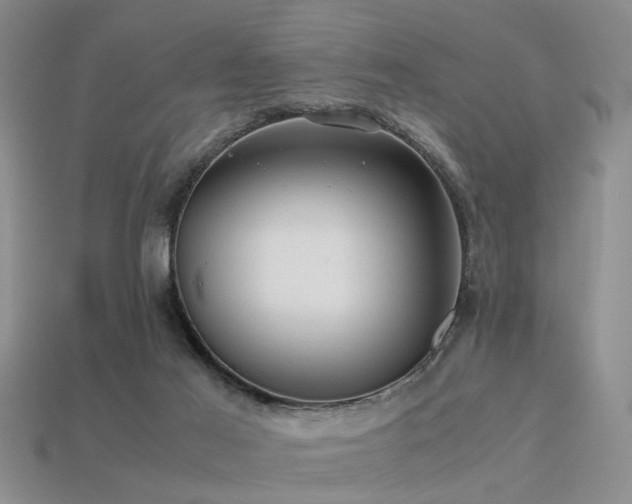 X0000113590021200909181341