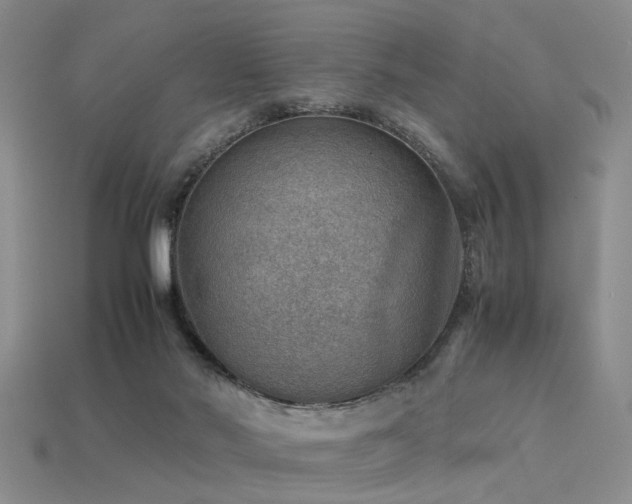 X0000113590022200909181341