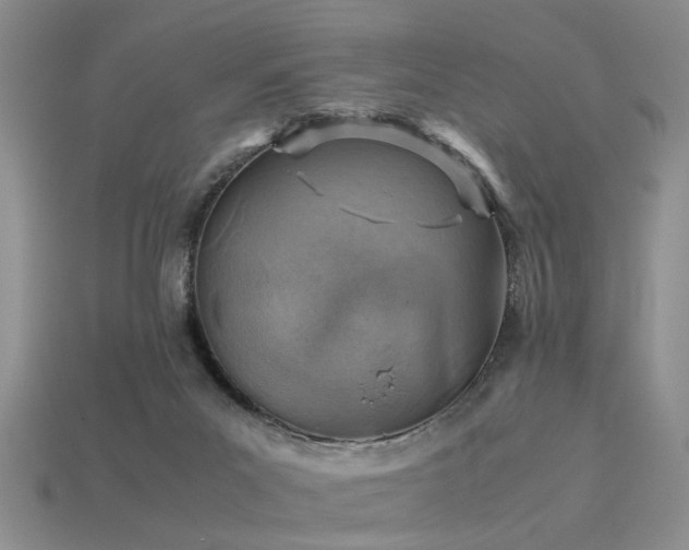 X0000113590023200909181341