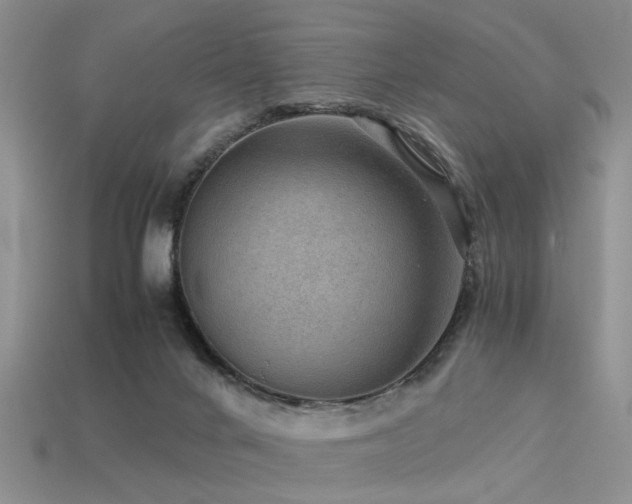 X0000113590024200909181341