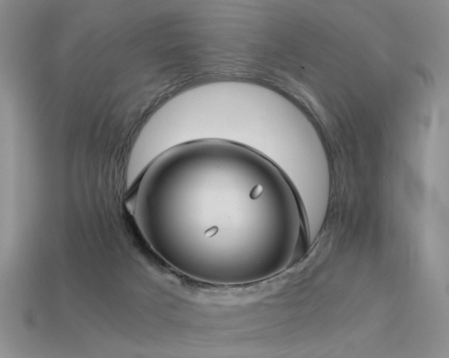 X0000113590025200909181341