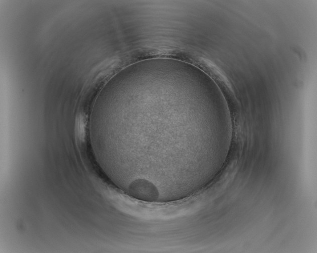 X0000113590026200909181341