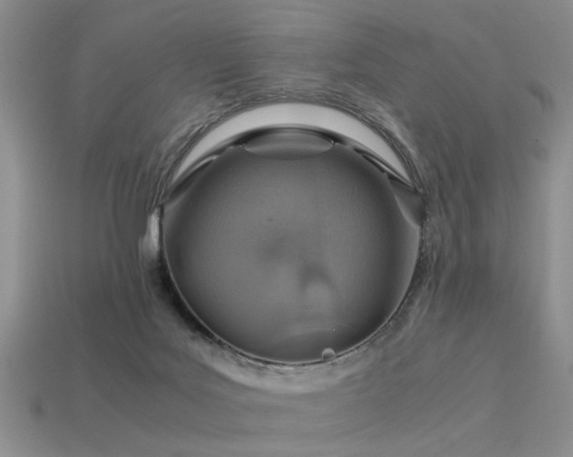 X0000113590027200909181341