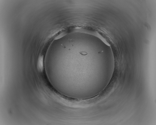 X0000113590028200909181341