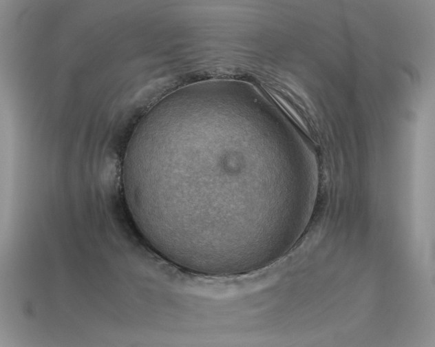 X0000113590029200909181341