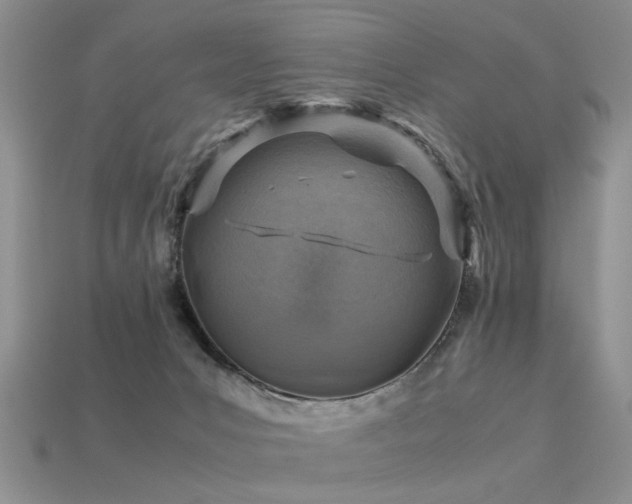 X0000113590031200909181341