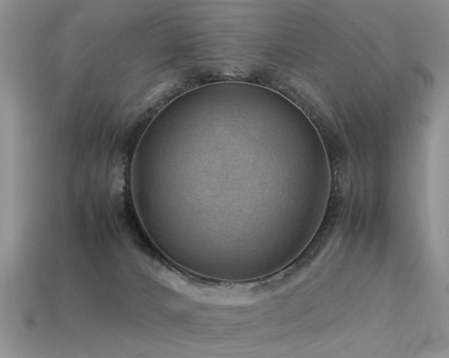 X0000113590032200909181341