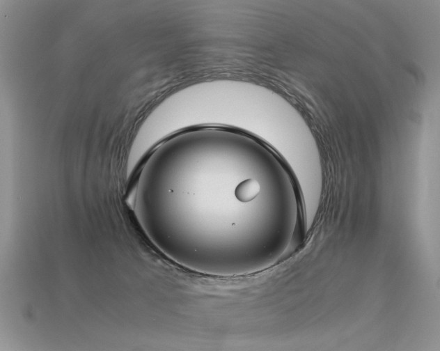 X0000113590033200909181341