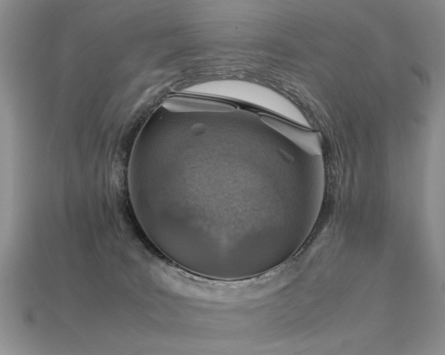 X0000113590035200909181341