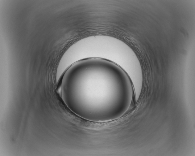 X0000113590037200909181340