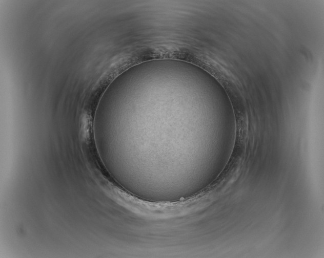 X0000113590038200909181340