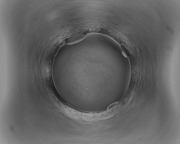 X0000113590039200909181340