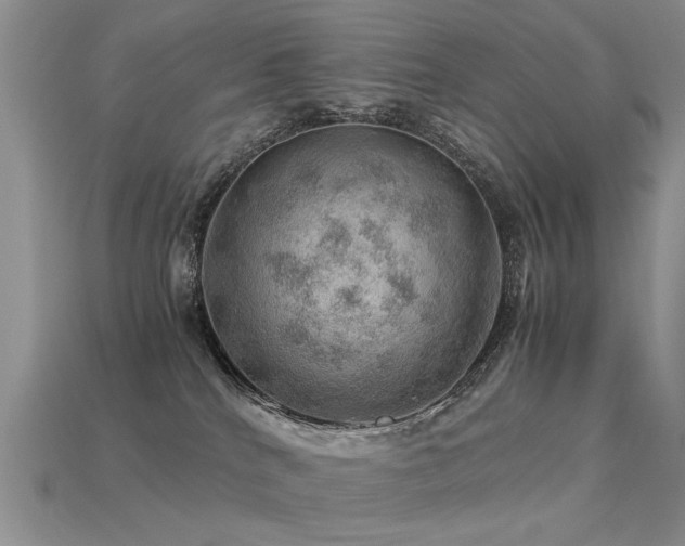 X0000113590040200909181340