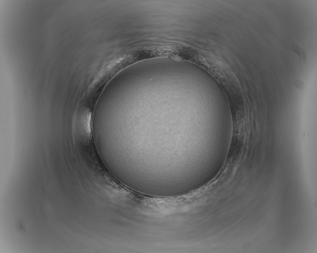 X0000113590041200909181340