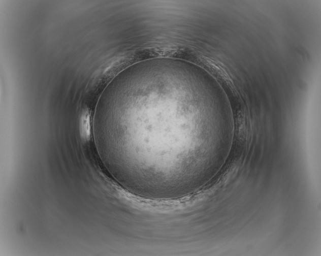 X0000113590042200909181340